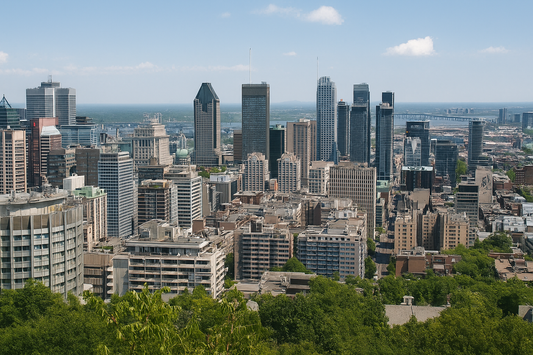 Site web ou réseaux sociaux : Qu'est-ce qui attire des clients à Montréal en 2025 ?